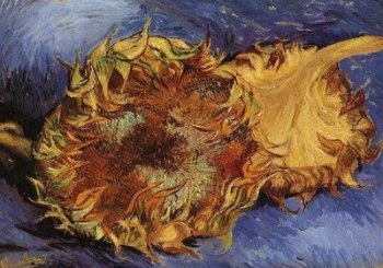 Vincent van Gogh - Doua floarea-soarelui taiate - 1887