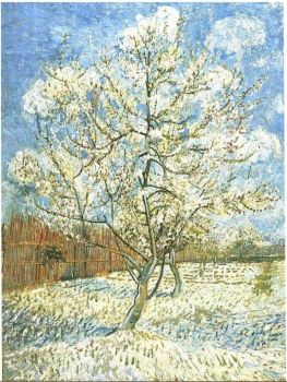 Vincent van Gogh - Piersici in floare (Souvenir de Mauve) - 1888